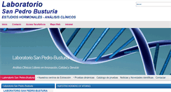 Desktop Screenshot of laboratoriobusturia.com